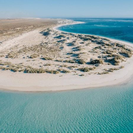 Gnaraloo Station - Homestead Carnarvon Esterno foto