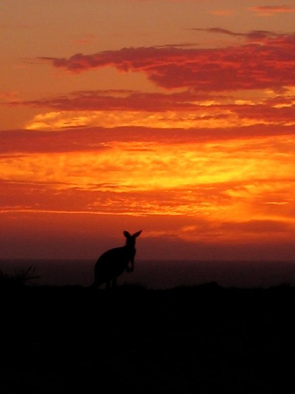 Gnaraloo Station - Homestead Carnarvon Esterno foto