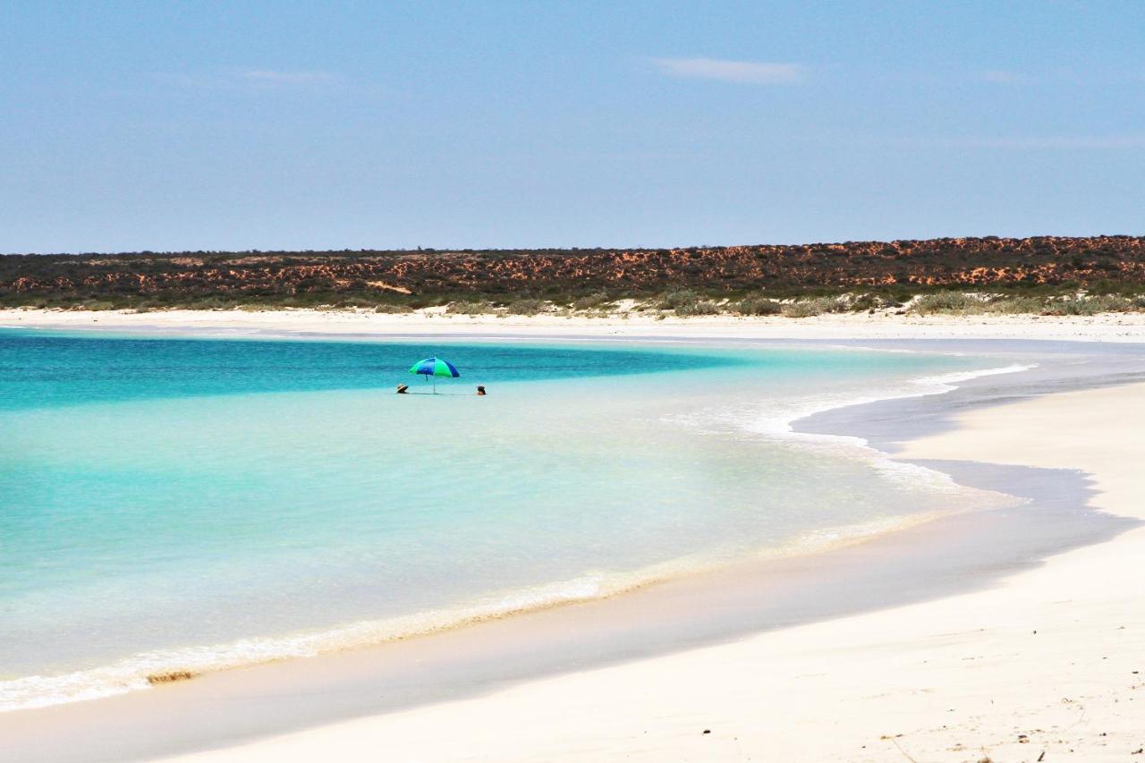 Gnaraloo Station - Homestead Carnarvon Esterno foto